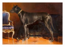 Dog Great Dane Art Painting