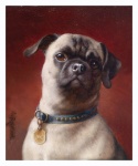 Dog Pug Art Painting