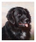 Dog Vintage Art Painting
