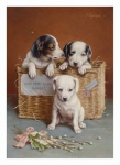 Dogs Puppies Vintage Art