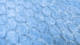Icy Mesh Pattern