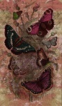 Butterfly Vintage Digital Art
