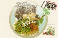 Vintage Christmas Postcard Dog