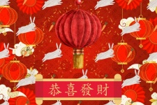 Chinese New Year Rabbit Lantern