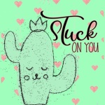 Valentine Cactus Stuck On You