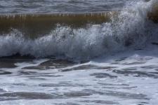 Crashing Ocean Wave