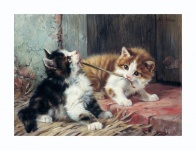Cat Kitten Vintage Art
