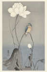 Kingfisher Japanese Vintage Art