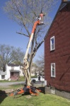 Large Crane Used To Cut Tree Limbs