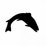 Leapting Trout Silhouette Clipart