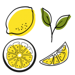 Lemon Fruit Illustration