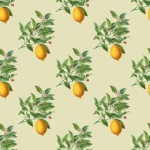Lemon Fruit Pattern Wallpaper