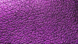 Lilac Purple Leather Background