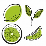 Lime Fruit Illustration