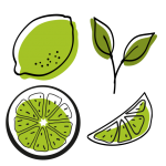 Lime Fruit Illustration