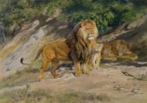 Lion Cubs Vintage Art