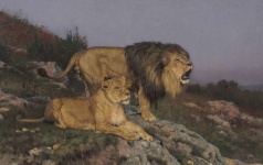 Lion Lioness Vintage Art