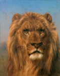 Lion Vintage Art Print
