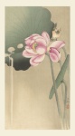 Lotus Flower Japanese Vintage Art