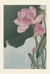 Lotus Flowers Japanese Vintage Art