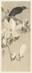 Magnolia Japanese Vintage Art
