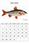 Monthly Calendar May