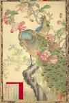 Peacock Japanese Vintage Art
