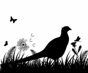 Pheasant Wildflower Meadow Clip