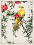 Oriole Bird Cherry Blossom Art