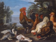 Rooster Hens Vintage Art