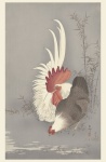 Rooster Japanese Vintage Art