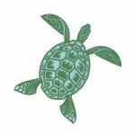 Sea Turtle Clipart Illustration