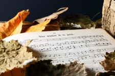 Sheet Music With Dead Dry Leaves