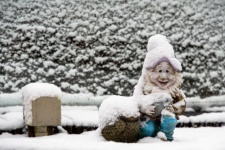 Snow, Gnome, Winter Photo