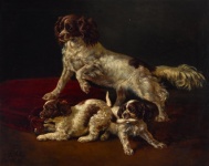 Spaniel Dogs Vintage Art