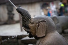 Statue, Fountain, Elephant
