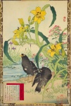 Starling Japanese Vintage Art