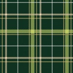 Tartan Plaid Pattern Green