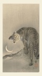 Tiger Japanese Vintage Art