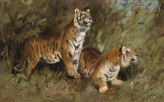 Tiger Vintage Art Print