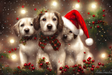 Trio Of Christmas Puppies