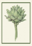Vintage Artichoke Vegetable Poster