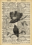 Vintage Bird Dictionary Page