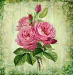 Vintage Floral Art Rose