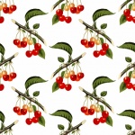 Vintage Cherries Pattern Background