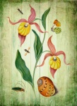Vintage Art Floral Butterfly