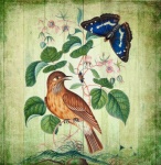 Vintage Art Floral Bird