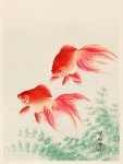 Vintage Art Pisces Goldfish