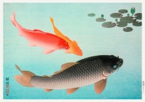 Vintage Art Fish Koi Carp