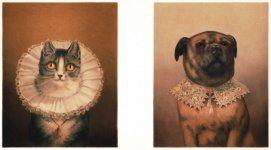 Vintage Art Cat Dog